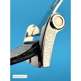 خرید ساعت مردانه تیفانی اصل سوئیس-original TIFFANY swiss 