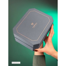 ساعت مچی مردانه تاپ هیل مدل- 0TD008G S1558
