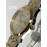 فروش ساعت مچی مردانه رودانیا اورجینال سوئیسی در گالری واچ کالکشن  original #RODANIA swiss 