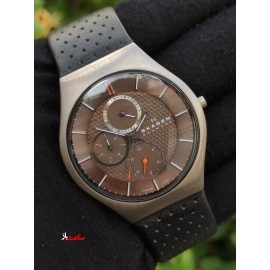 خرید ساعت اِسکاژِن اورجینال دانمارکی در گالری واچ کالکشن SKAGEN original 